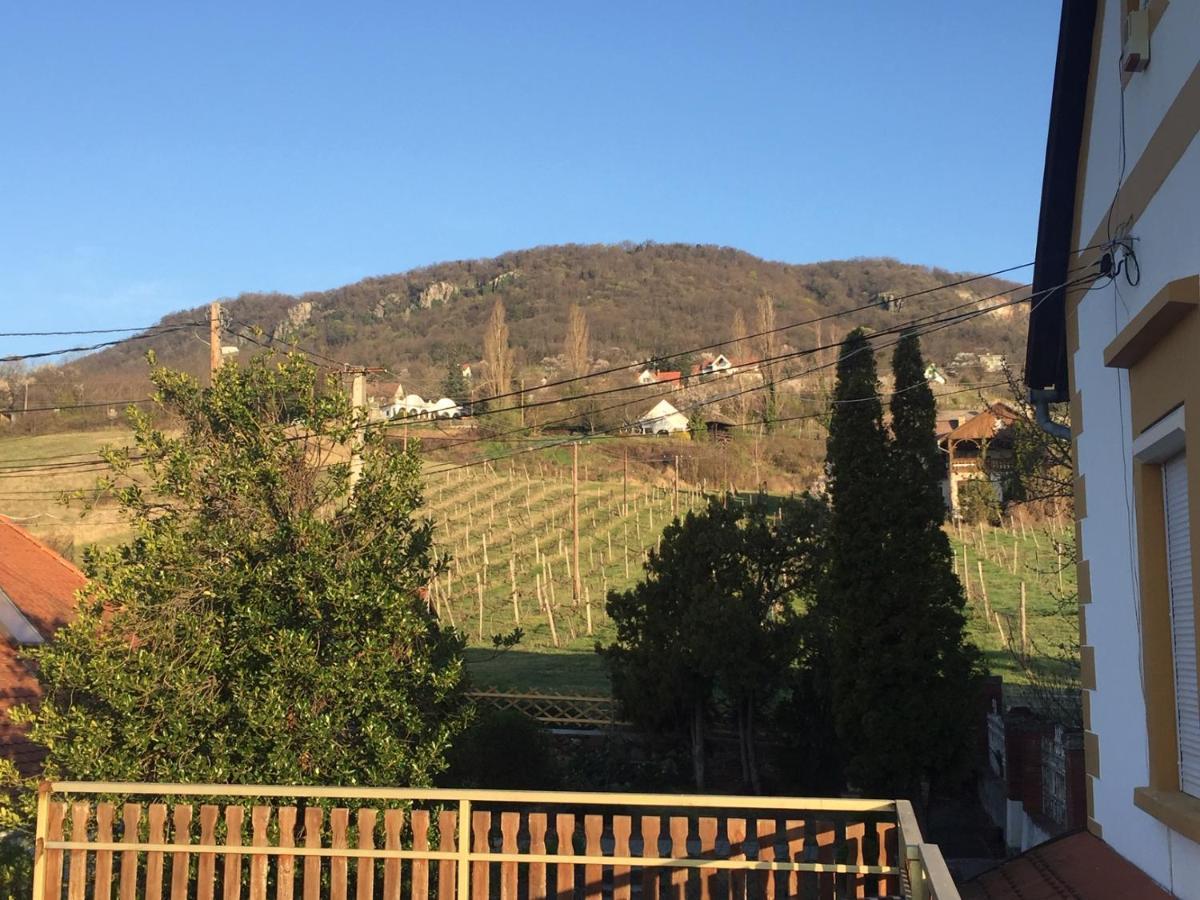 Bacchus Apartman - Borbarlang, Badacsony Badacsonytomaj Esterno foto