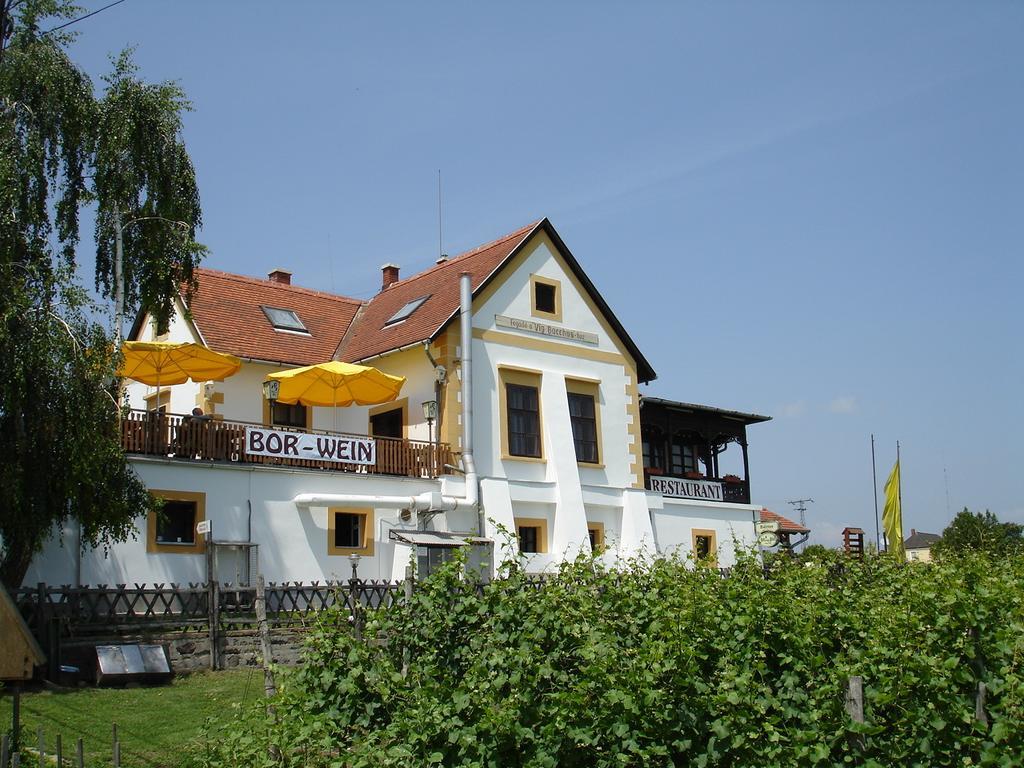 Bacchus Apartman - Borbarlang, Badacsony Badacsonytomaj Esterno foto
