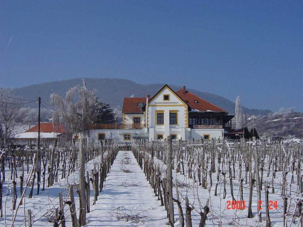 Bacchus Apartman - Borbarlang, Badacsony Badacsonytomaj Esterno foto