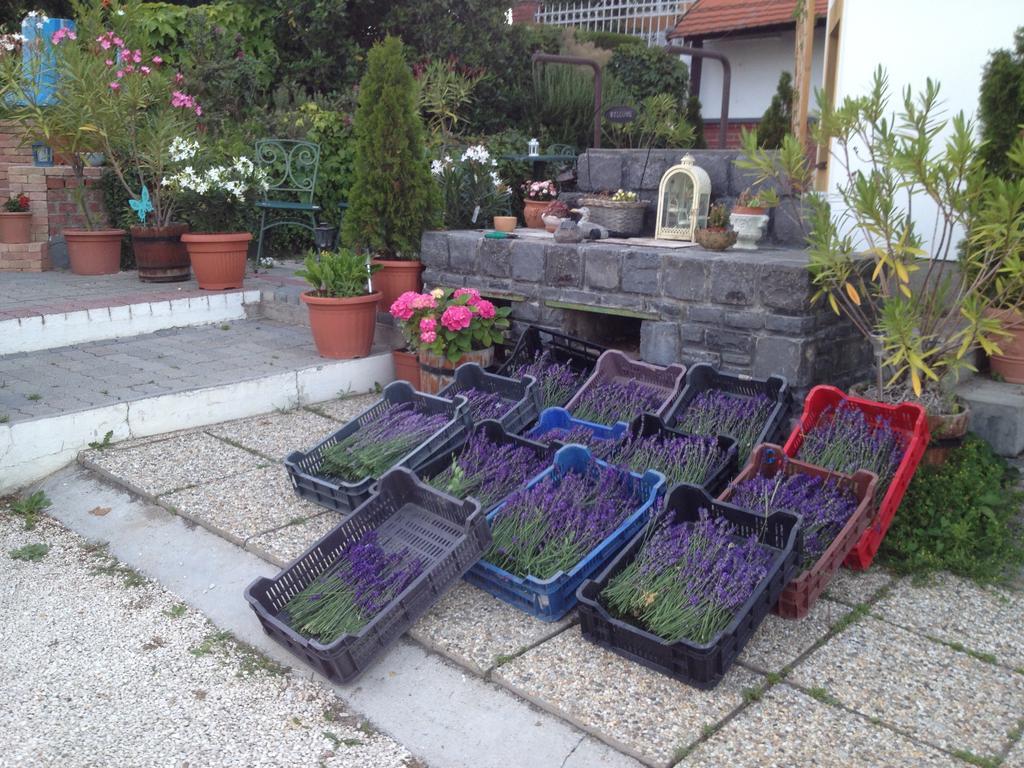 Bacchus Apartman - Borbarlang, Badacsony Badacsonytomaj Esterno foto