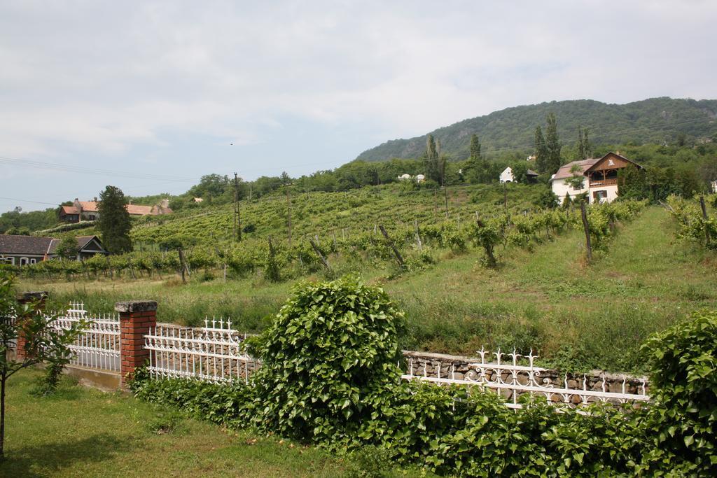 Bacchus Apartman - Borbarlang, Badacsony Badacsonytomaj Esterno foto
