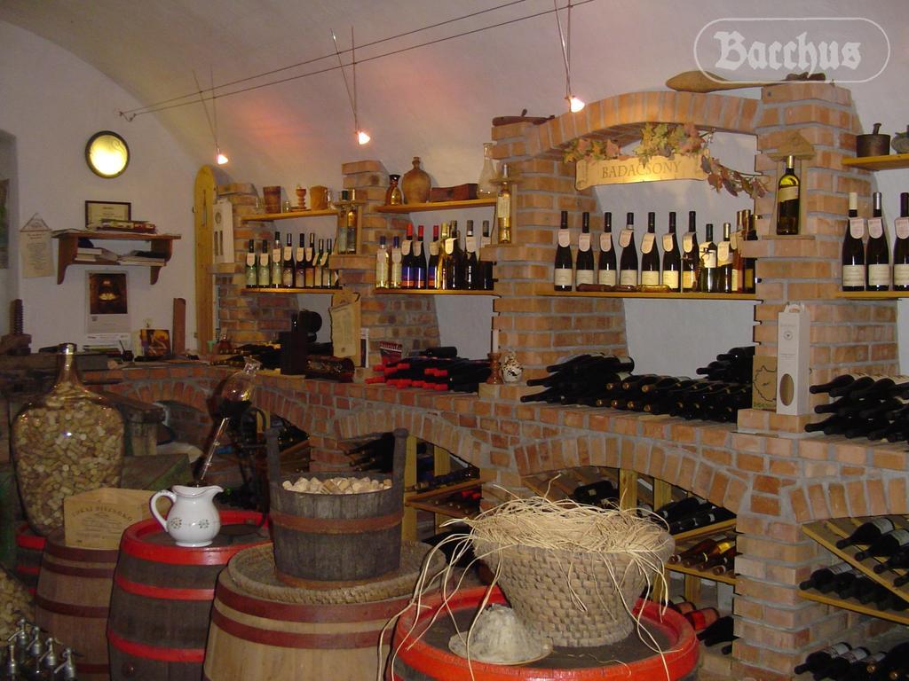 Bacchus Apartman - Borbarlang, Badacsony Badacsonytomaj Esterno foto