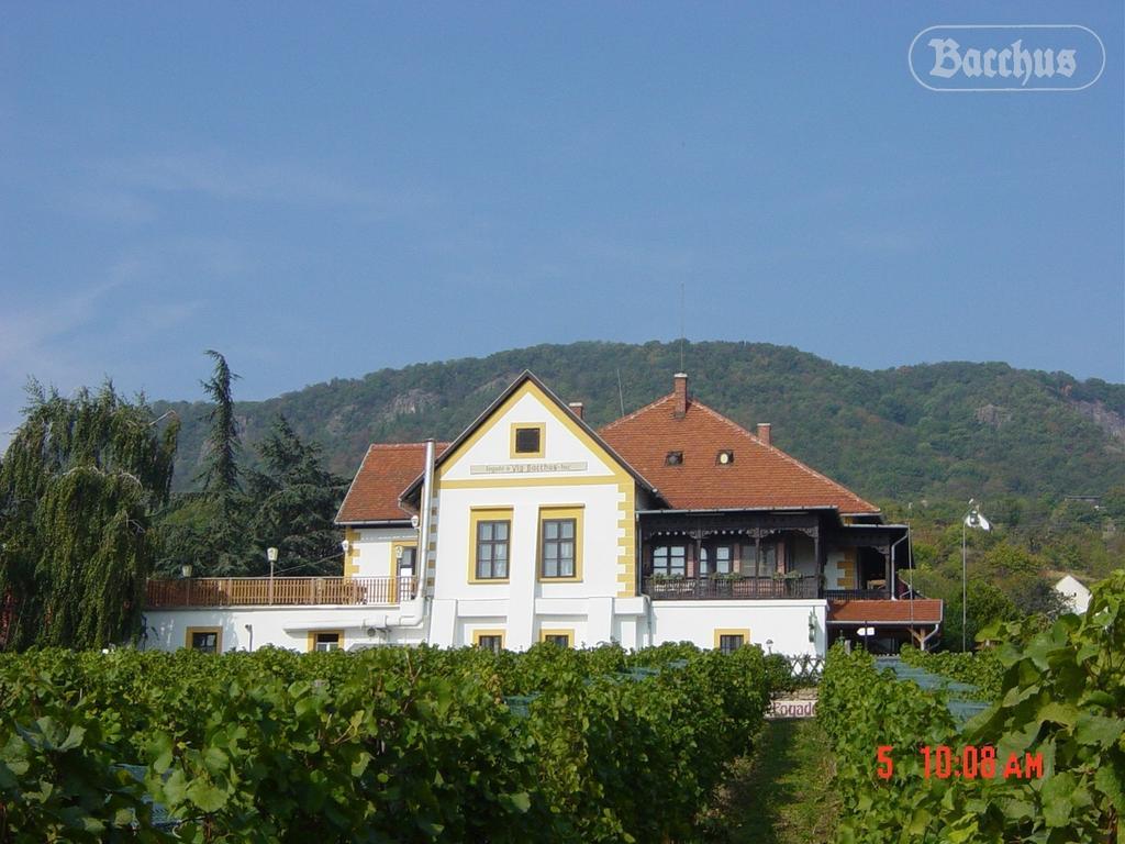 Bacchus Apartman - Borbarlang, Badacsony Badacsonytomaj Esterno foto